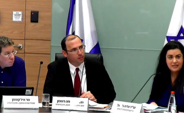 ועדת החוקה (צילום: ערוץ הכנסת)