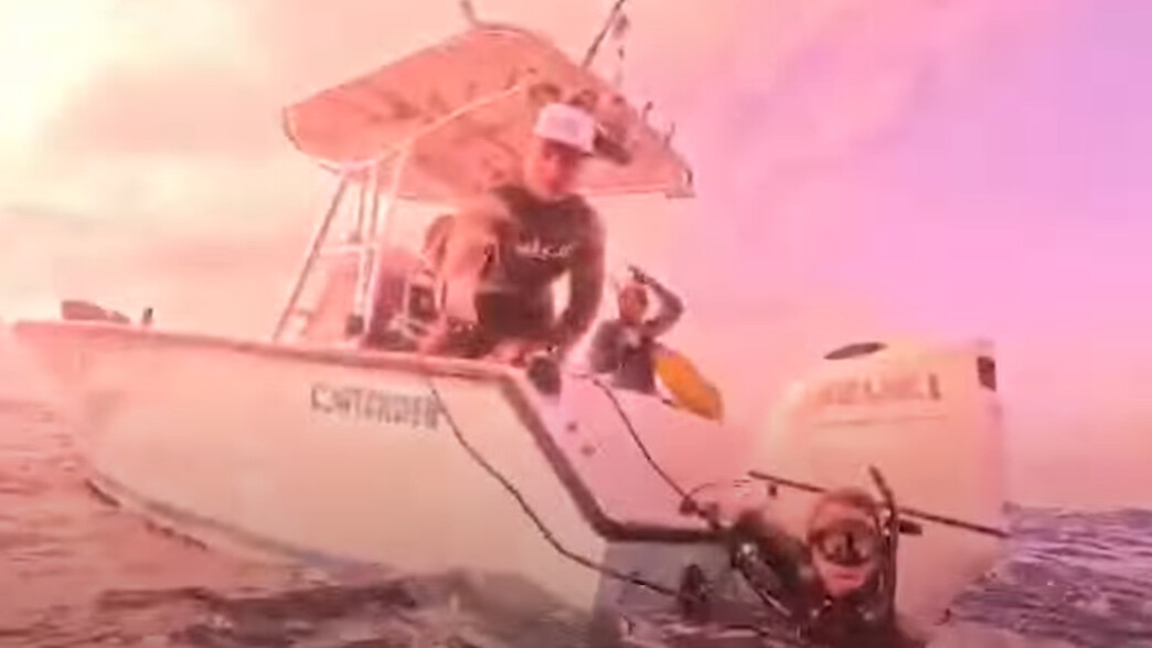 צוללנים אחרי תקיפת כריש צוללנים אחרי תקיפת כריש