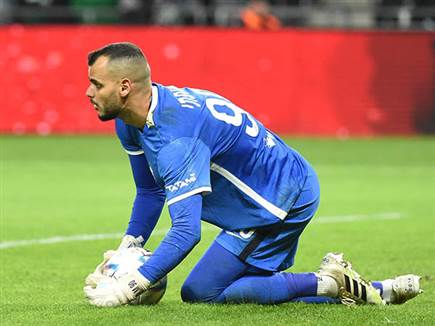 משפתי. נכנס נהדר לעניינים (ברני ארדוב)