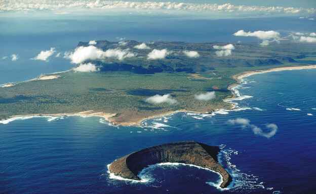 ניאהאו הוואי (צילום: James L. Amos, getty images)