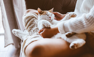 אישה מלטפת חתול (צילום: Alena Ozerov, Shutterstock)