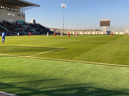 דשא ברמה גבוהה