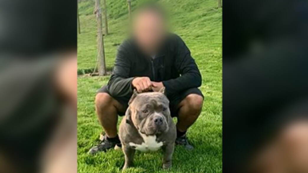 חשוד בהתעללות בכלבים נמלט מהמשטרה חשוד בהתעללות בכלבים נמלט מהמשטרה