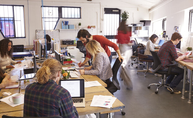 עובדים במשרד (צילום: Monkey Business Images, shutterstock)