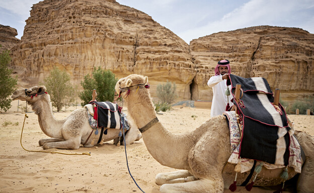מדבר בערב הסעודית (צילום: xavierarnau, Getty Images)