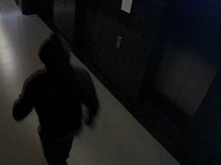 (דוברות המשטרה, מתוך מצלמות האבטחה)