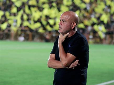 מצפה לתשובות (אלן שיבר)