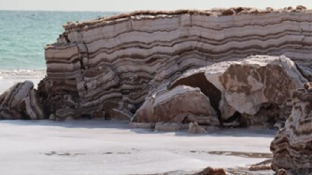 בולענים ופטריות בים המלח בולענים ופטריות בים המלח