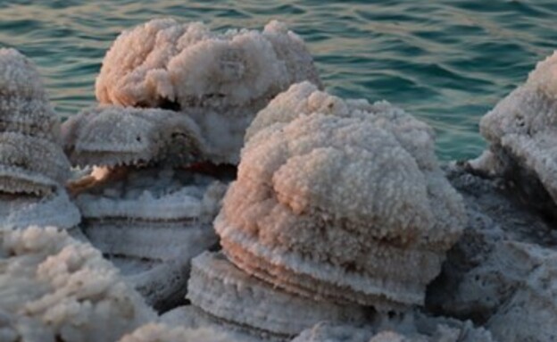 בולענים ופטריות בים המלח (צילום: טל-זהרה לביא)