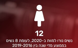 האקדח על שולחן המטבח  (צילום: מתוך האתר של פרויקט "האקדח על שולחן המטבח" )