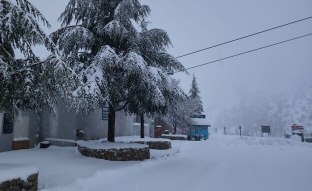 שלג באתר החרמון (צילום: אתר החרמון)