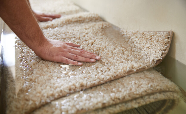 שטיח מגולגל ספוג מים (צילום: mariakray, SHUTTERSTOCK)