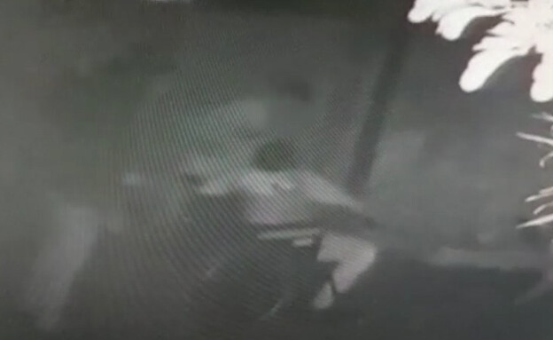 תקף באלימות את שכנו הנכה בלוד (צילום: דוברות המשטרה)