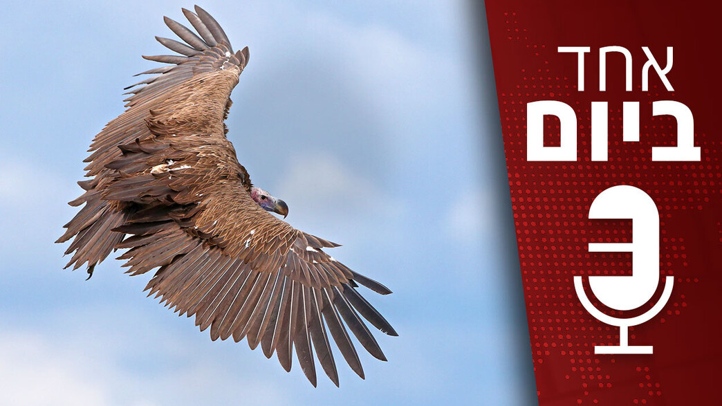 אחד ביום אחד ביום