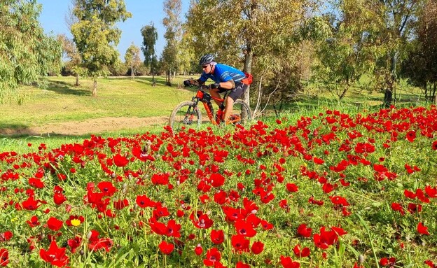 מה הלוז – 7.2 - פסטיבלים - פסטיבל דרום אדום (צילום: באדיבות תיירות שקמה בשור , יחצ)