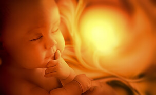 עובר ברחם  (צילום: zffoto, shutterstock)