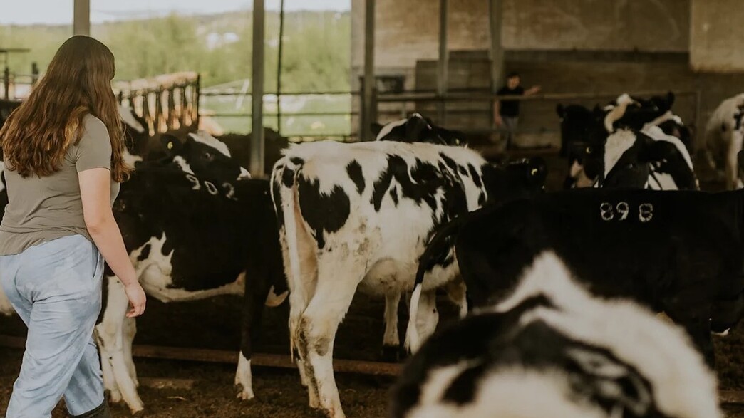 כפר הנוער בן שמן