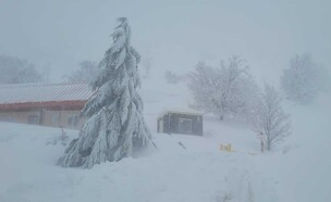 שלג, חרמון, ברברה, סופה (צילום: אתר החרמון)