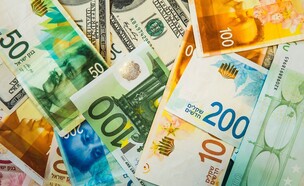 כסף שקל דולר יורו (צילום: Suprun Vitaly, shutterstock)