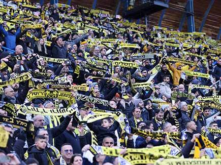 16 אלף צופים הגיעו לטדי (דני מרון)