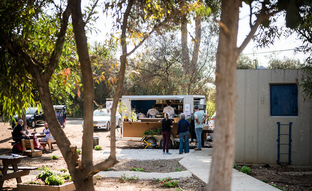 קורטאדו (צילום: עדי פסדר)