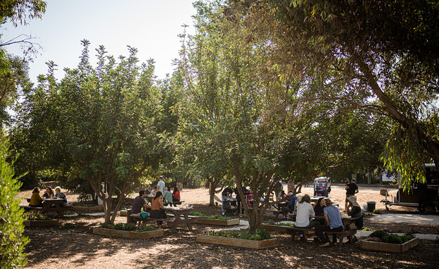 קורטאדו (צילום: עדי פסדר)