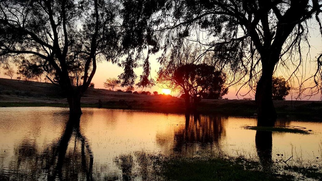 לימן מלא ביער יתיר לימן מלא ביער יתיר