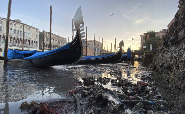 ונציה שפל 2020 (צילום: Luigi Costantini, ap)