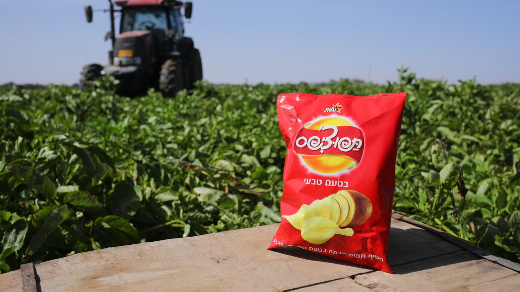 שטראוס קיימות שטראוס קיימות