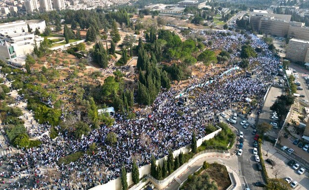 הפגנה בירושלים (צילום: אמיר טרקל)
