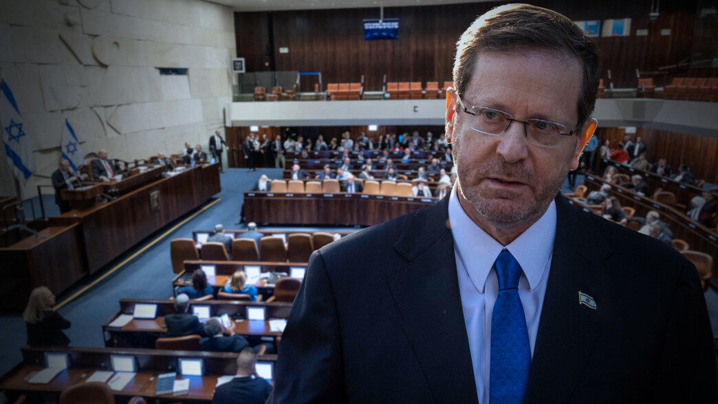 הנשיא הרצוג, מליאת הכנסת