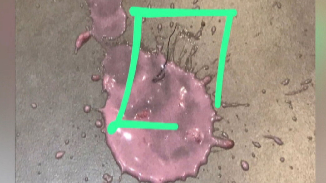 חוט הברזל שנמצא ביוגורט