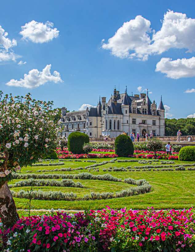 שנונסו עמק הלואר צרפת שנונסו עמק הלואר צרפת