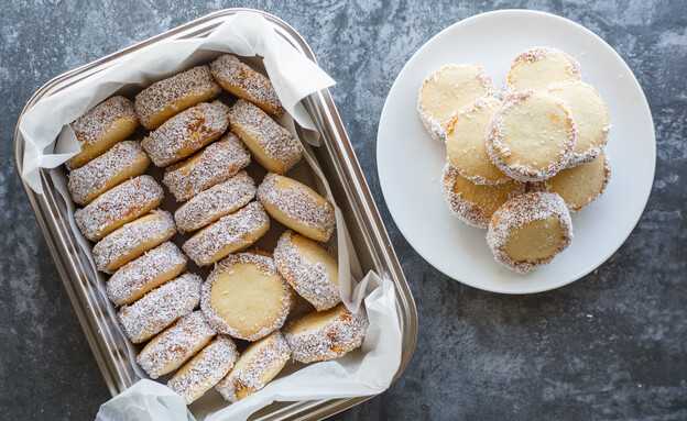 קופסת מיני אלפחורס פתיינית קופסת מיני אלפחורס פתיינית