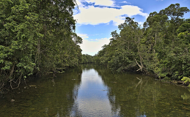 נהר בלומפילד, סמוך לעיירה אייטון שבאוסטרליה (צילום: 123RF‏)