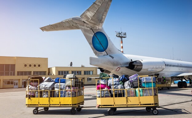 מזוודות מטוס נמל שדה תעופה (צילום: BONDART PHOTOGRAPHY, shutterstock)
