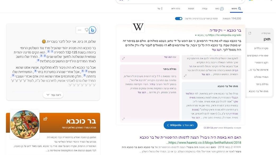 בינג AI החדש בפעולה בינג AI החדש בפעולה
