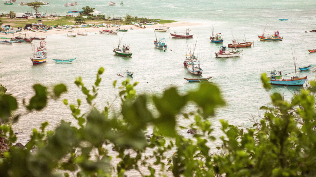 טיול בסר לנקה טיול בסר לנקה