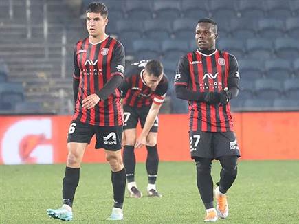 הירושלמים עדיין בעמדה טובה לפלייאוף (ברני ארדוב)