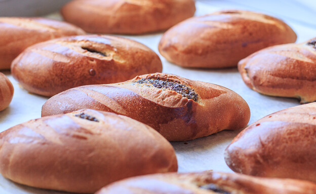 חיילות שלנו