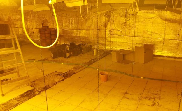 תפיסת קנאביס ביישוב אלסייד בנגב, 2 במרץ 2023 (צילום: דוברות משטרת ישראל)