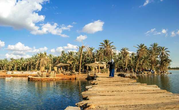 אגם סיווה נווה מדבר מצרים (צילום: PiCPiCK, shutterstock)