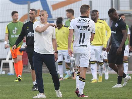 חלוקת נקודות (ברני ארדוב)