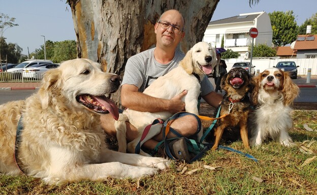 שלום סלומון וארבעת הכלבים שלו (צילום: n12)