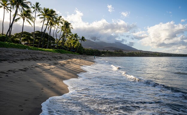 חוף קנאפאלי הוואי (צילום: Gary Riegel, shutterstock)