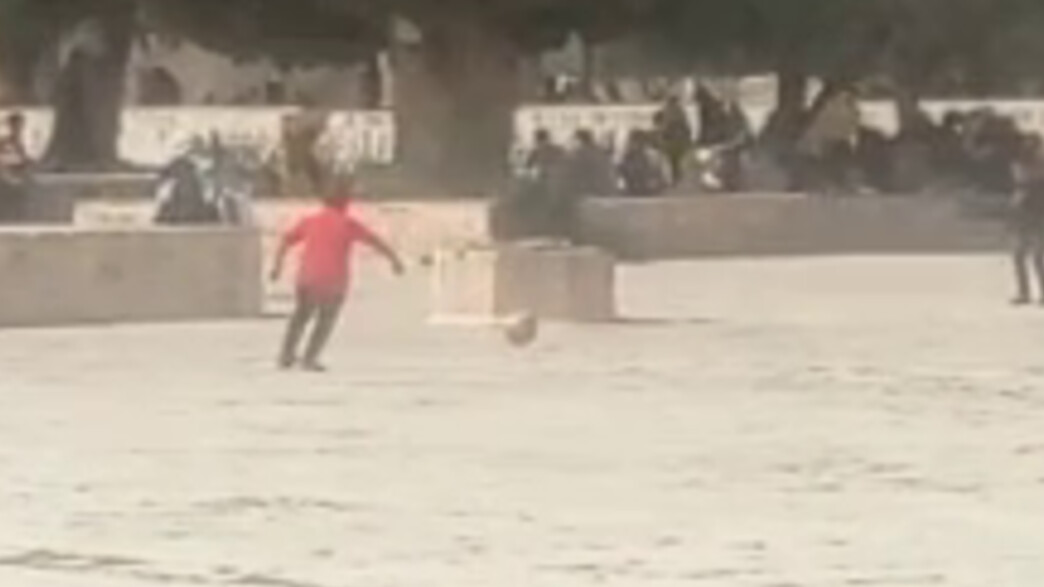 משחקי כדור בהר הבית משחקי כדור בהר הבית