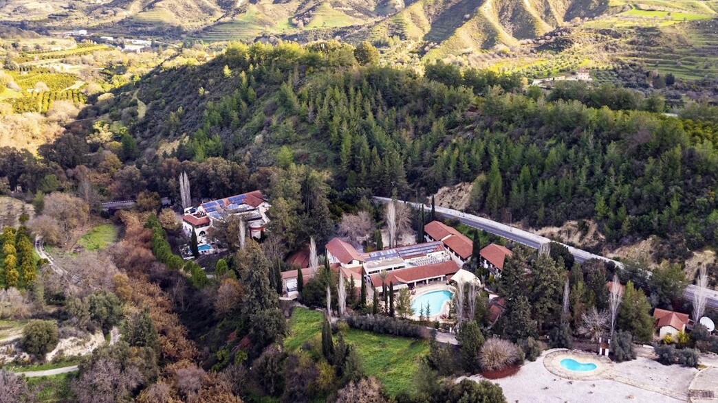 היער הסודי היער הסודי