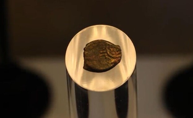 מטבע שטבע  אנטיגונוס השני (צילום: שי הלוי, רשות העתיקות)