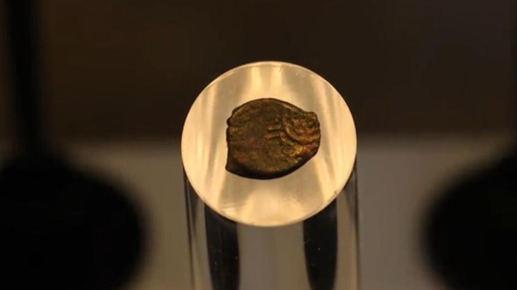 מטבע שטבע  אנטיגונוס השני