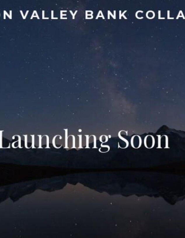 הונאה, בנק SVB